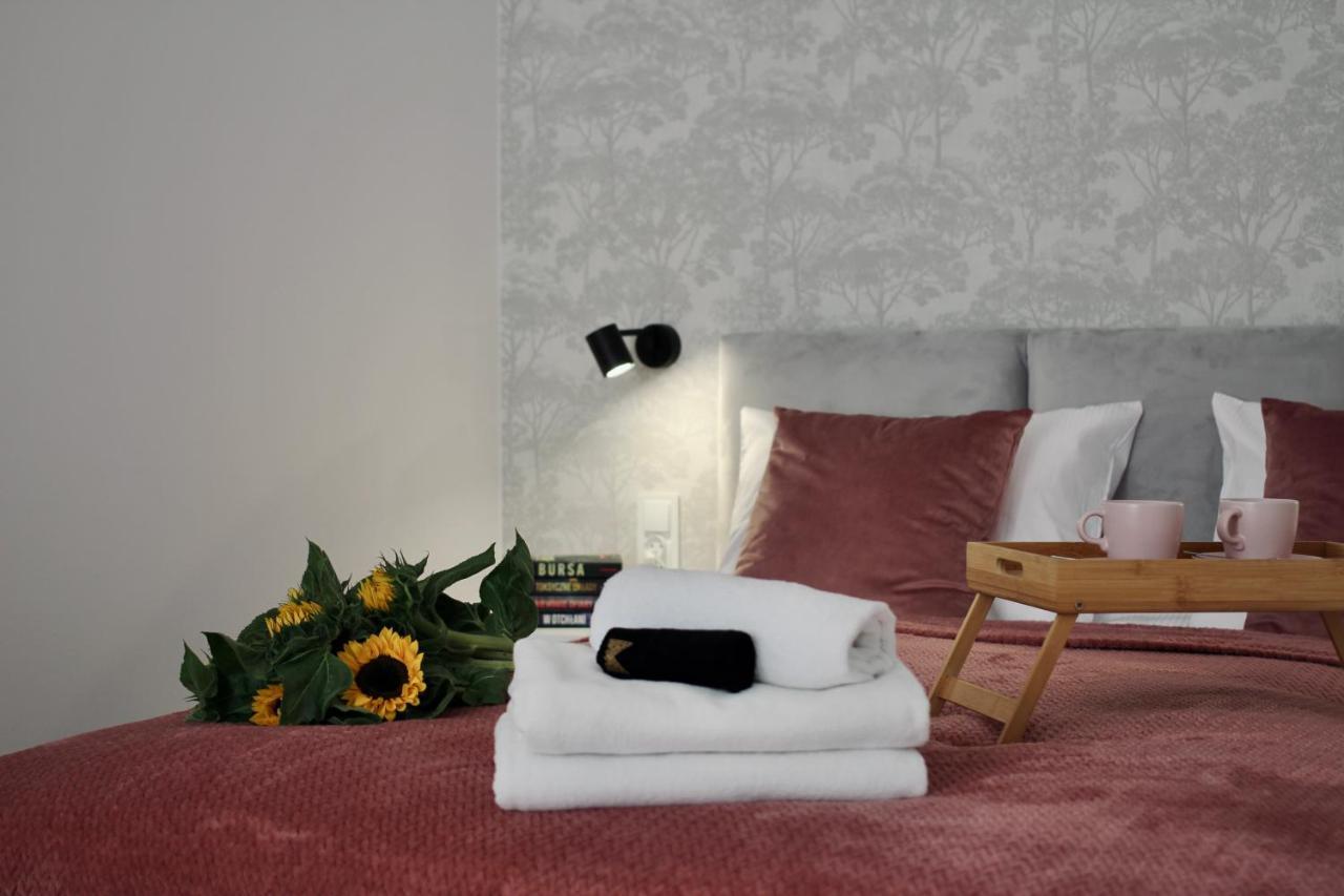 Luna Apartments Jelenia Góra Eksteriør bilde